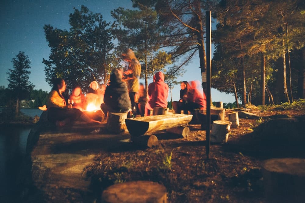 Zipline Forest Adventure